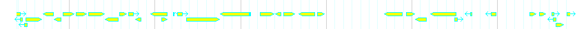 Genes detail