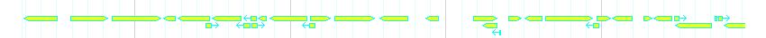 Genes detail