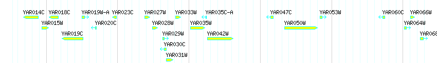 Genes detail