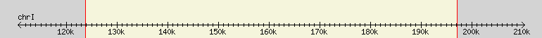 __scale__ region