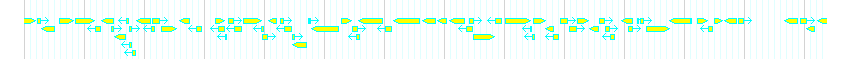 Genes detail