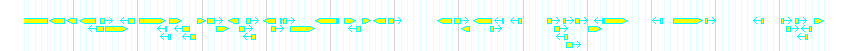 Genes detail