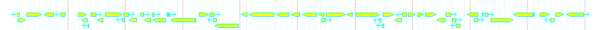 Genes detail