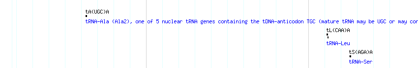 tRNAs detail