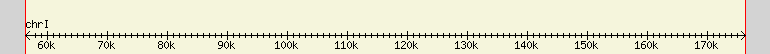 __scale__ region
