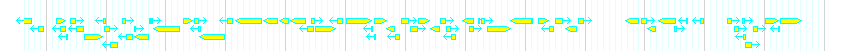 Genes detail