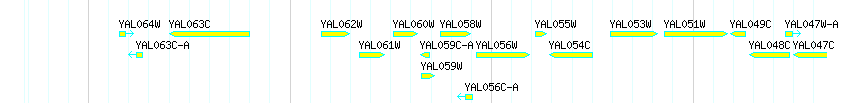 Genes detail