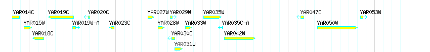 Genes detail
