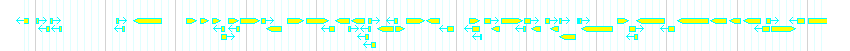 Genes detail