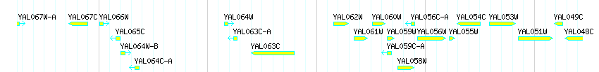 Genes detail