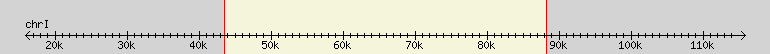 __scale__ region