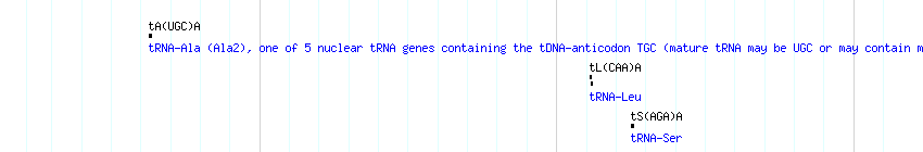 tRNAs detail