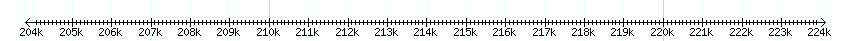 __scale__ detail