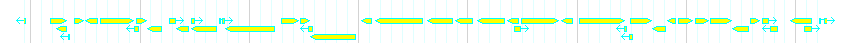Genes detail