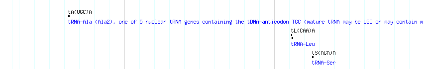 tRNAs detail