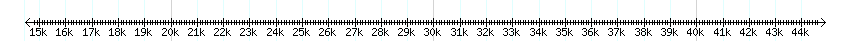 __scale__ detail