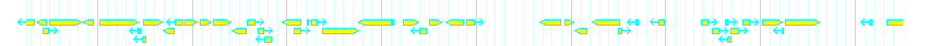 Genes detail