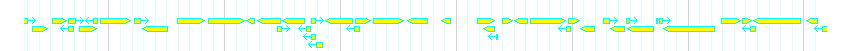 Genes detail