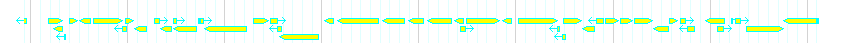 Genes detail