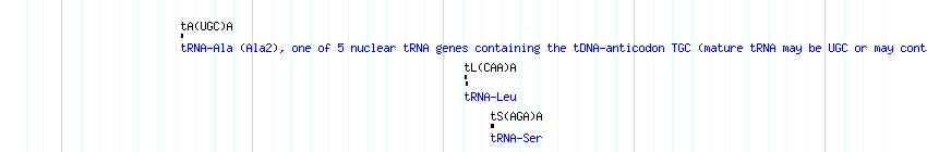 tRNAs detail