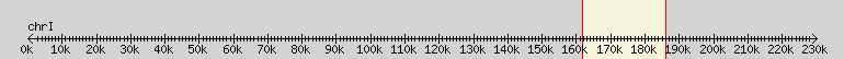 __scale__ overview