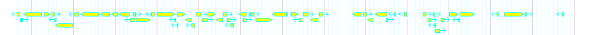 Genes detail