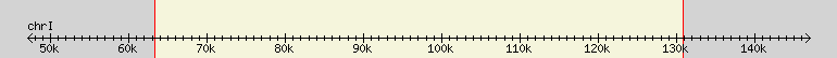 __scale__ region