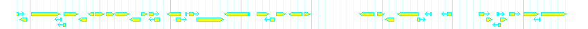 Genes detail