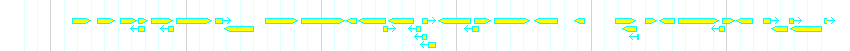 Genes detail