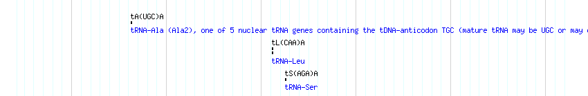 tRNAs detail