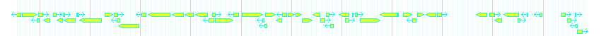 Genes detail