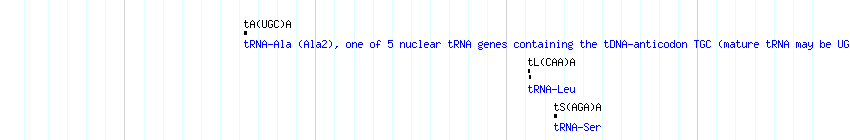 tRNAs detail