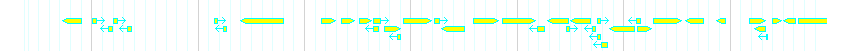 Genes detail