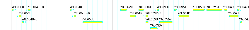 Genes detail