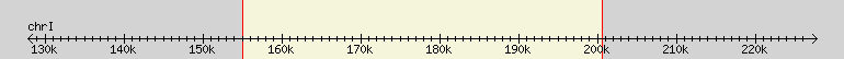 __scale__ region