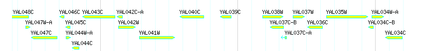 Genes detail