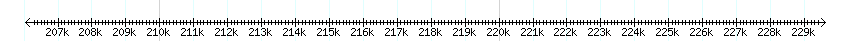 __scale__ detail