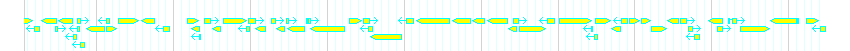 Genes detail