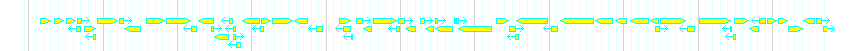 Genes detail