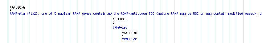 tRNAs detail