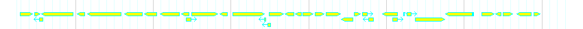 Genes detail